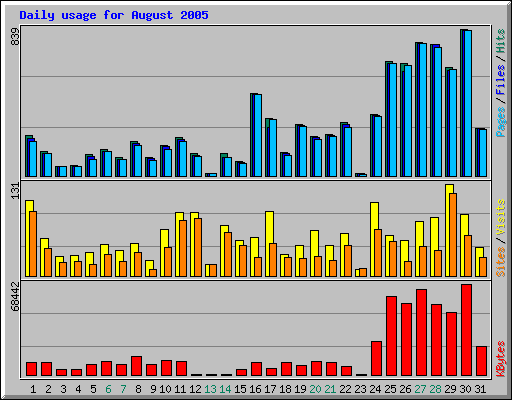 Daily usage for August 2005