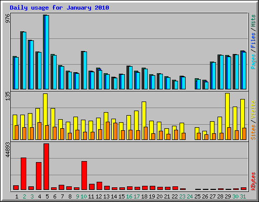 Daily usage for January 2010