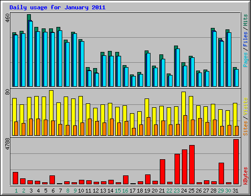 Daily usage for January 2011