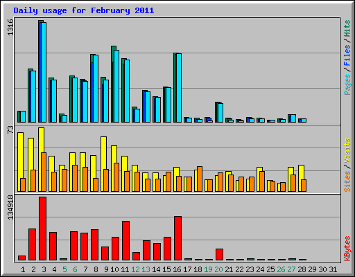 Daily usage for February 2011