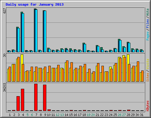Daily usage for January 2013