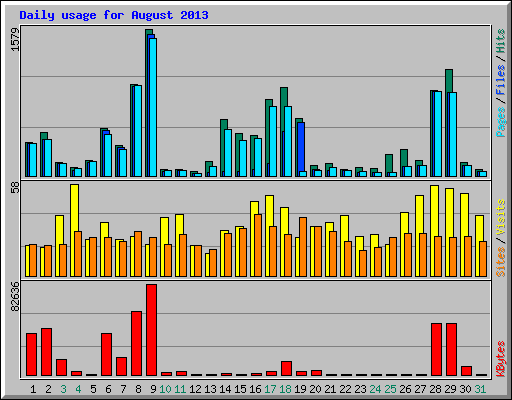 Daily usage for August 2013