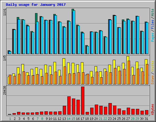 Daily usage for January 2017