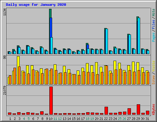 Daily usage for January 2020