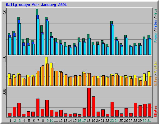 Daily usage for January 2021