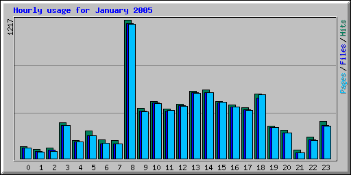 Hourly usage for January 2005