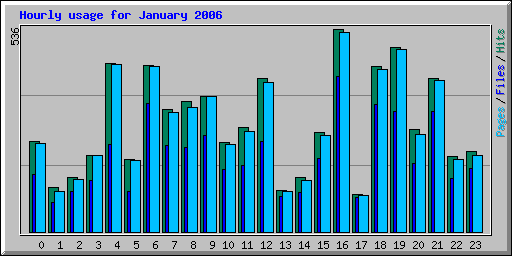 Hourly usage for January 2006