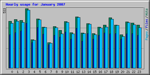 Hourly usage for January 2007