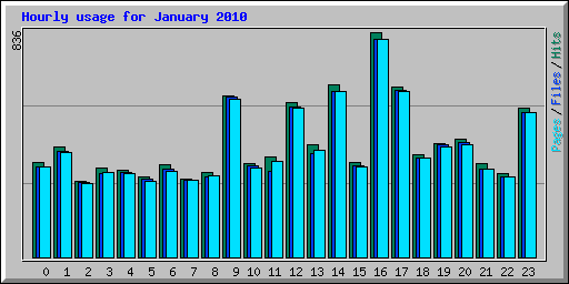 Hourly usage for January 2010