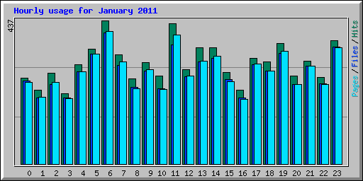 Hourly usage for January 2011