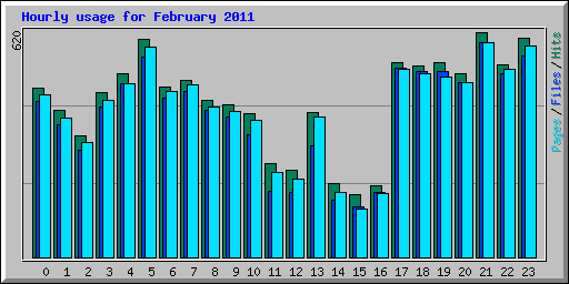 Hourly usage for February 2011