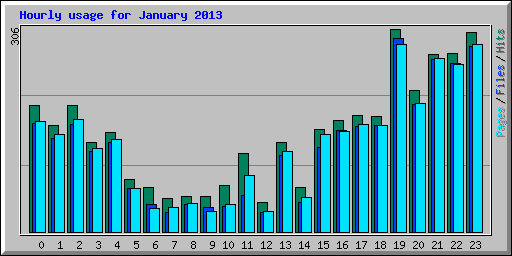 Hourly usage for January 2013