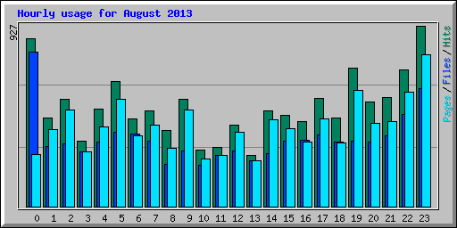 Hourly usage for August 2013