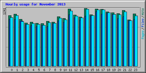 Hourly usage for November 2013