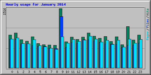 Hourly usage for January 2014