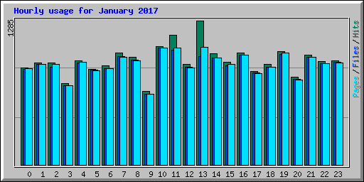 Hourly usage for January 2017