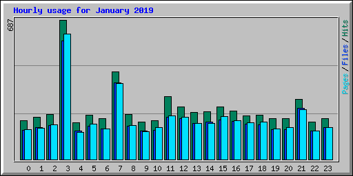 Hourly usage for January 2019