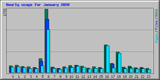 Hourly usage for January 2020