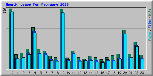 Hourly usage for February 2020