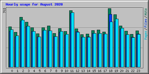 Hourly usage for August 2020