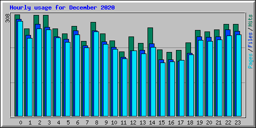 Hourly usage for December 2020