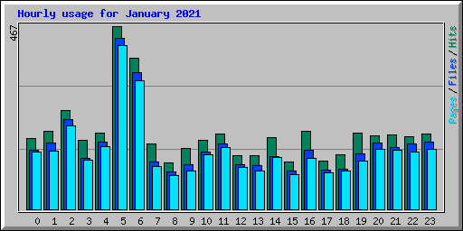 Hourly usage for January 2021