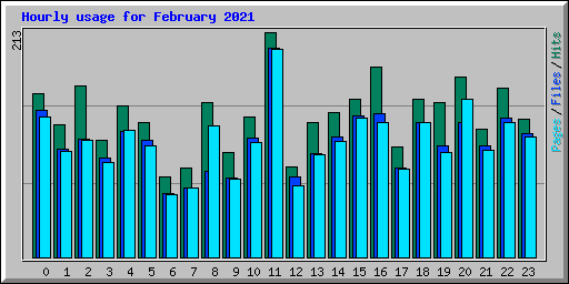 Hourly usage for February 2021